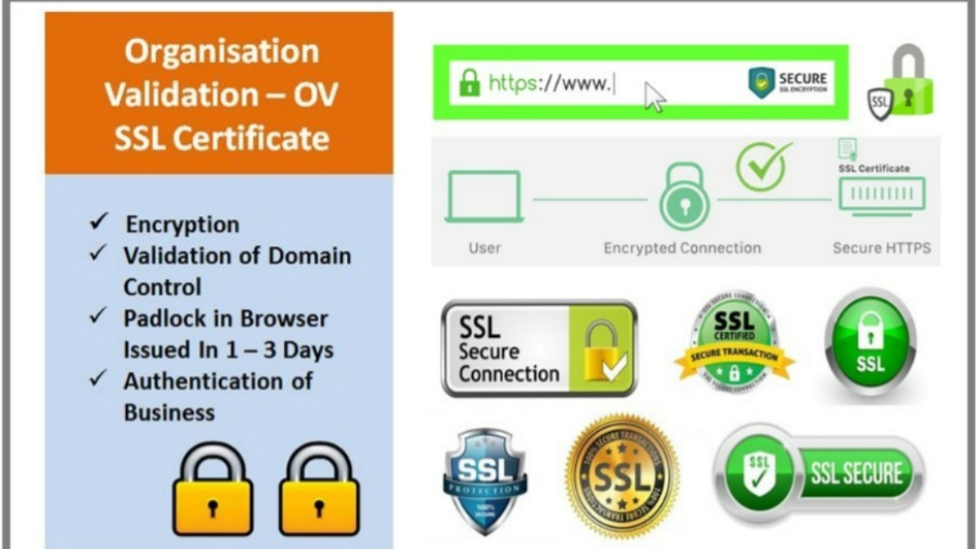 OV (Organization Validation) SSL Certificate